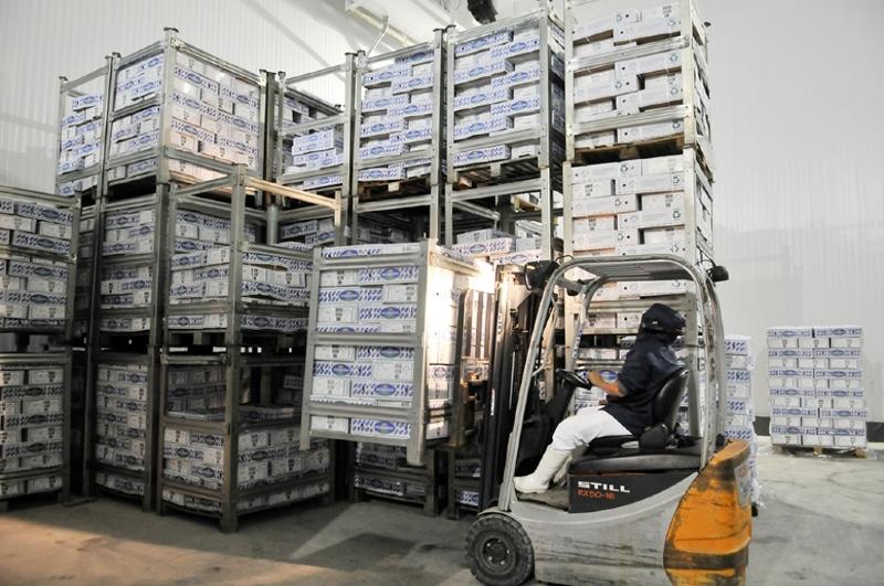 Indústria lidera vendas externas e impulsiona resultado histórico