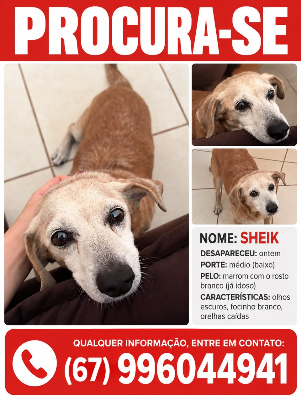 Sheik está desaparecido desde o último sábado 03.